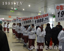1988.TV�����ȫ��