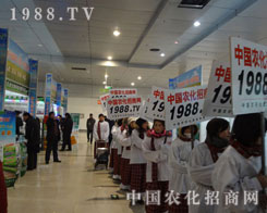 Ҋ�C1988.TV�W(w��ng)����ꂥ���ƏV����