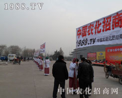 �r���W��С��ꖂ�������Ѫ���v