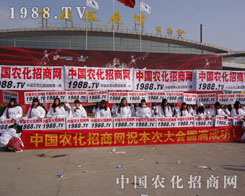 �ʝ��r(n��ng)�Y������Ψ�r(n��ng)���W(w��ng)�Q��