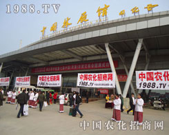 �r(n��ng)���W(w��ng)���Թ��е��ˑB(t��i)���A���˅������P(gu��n)ע��Ŀ��