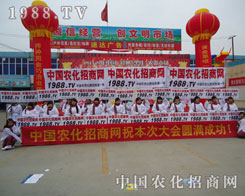 1988.TV�����ی�(sh��)���T�x��
