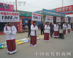 ����ɹ��Ļ�