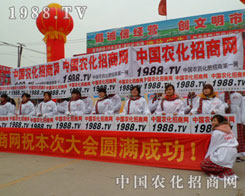 ʲô������1988.TV���ϸ�������(zh��n)�Ե�չ���ƏV