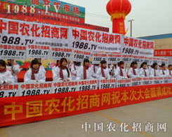 �r(n��ng)�����̾W(w��ng)ȫ���Ը��ľ���l(f��)�P(y��ng)�ĺ���������