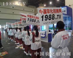 ���ݷ����p�����ϵď���