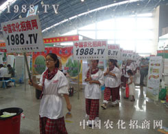 �Є�����1988.TV�F꠱M��]����Ҋ��ɫ