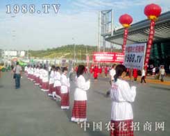 1988.TV�r(n��ng)�����̾W(w��ng)�Ä�(chu��ng)�µ�˼�S��l(f��)չ