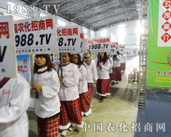 2013�|����ʡ���ϕ�(hu��)С���(y��ng)�ֳ��F(xi��n)�ڴ����ǰ