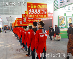 1988.TV�����ˆT�����w�P(y��ng)���������