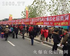 2016ֲ�������r(n��ng)�����̾W(w��ng)�����ݴ�������