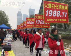 �r(n��ng)���t--2016�Ͼ�ֲ�������������}ɫ����