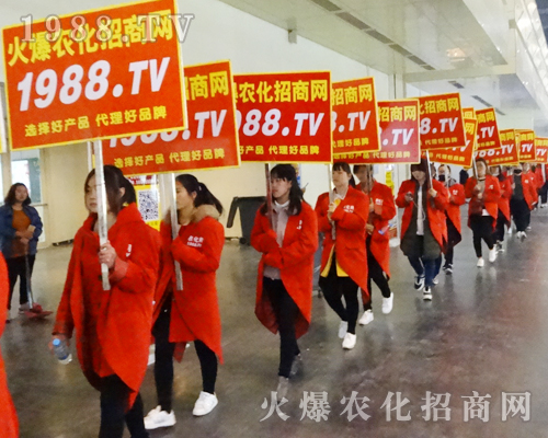 2017����Ϸ����p������1988.TV���̟o�ϵK�������б�����