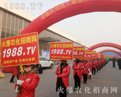 ���r(n��ng)�����̾W(w��ng)��2019��30�úӱ�ֲ��������(ji��n)���M(j��n)�е���