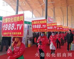 ���r(n��ng)�����̾W(w��ng)��2019�ӱ�ʯ���fֲ����(hu��)�ϻ���ȫ�_(k��i)��