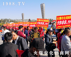 ���r(n��ng)�����̾W(w��ng)ʢ�b����2019��ʮ�����L��ֲ������