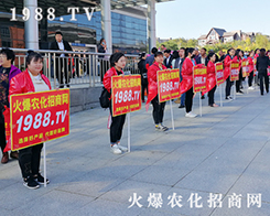 2019�|����ʡֲ���������r(n��ng)�����̾W(w��ng)����������