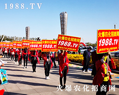 2019�L��ֲ�������r(n��ng)�����̾W(w��ng)�ل�(chu��ng)�x�ͣ�