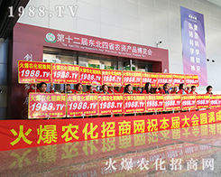 ��ʮ�����L��ֲ������1988.TV������ݿ�ǰ��(qi��ng)��