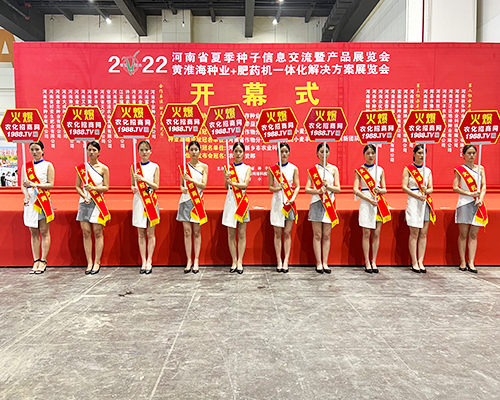 �����]�����Ĵ������������L(f��ng)�ɱM�@��