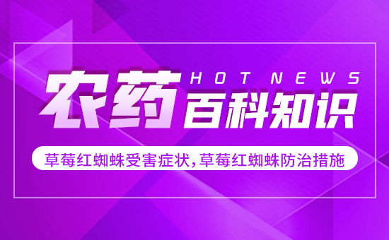 ��ݮ�t֩���ܺ��Y������ݮ�t֩����δ�ʩ