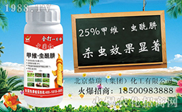 ����������ף������µ�һ�����Ҹ����M���H�Қg��(l��)��