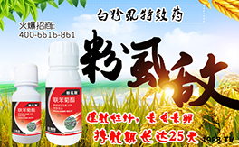 �����˹�r(n��ng)�I(y��)��ף�������w�������f(w��n)�����⣡