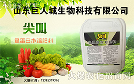 �����˳����ף������µ�һ�������w�����������³����f(w��n)��������