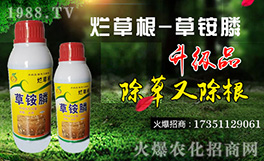 �����K���r(n��ng)��ף������µ�һ���﹤�����������������