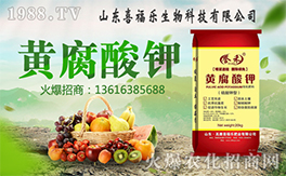 ��ϲ����(l��)��ף������µ�һ���﹤�����������������