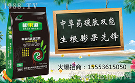 �����u��֮����ףԸһ·�������т����w�������i�꼪�飡