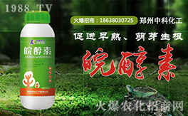 ���пƻ�����ף�������µ�һ�����Ҹ����M���H�Қg��(l��)