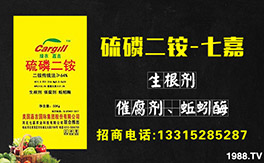 ���߼��r(n��ng)�I(y��)��ף������µ�һ�������w�������f(w��n)�����⣡