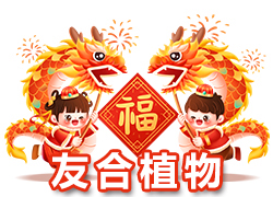 【鄭州友合植物】祝全國(guó)人民在新的一年里年年有余、歲歲平安！