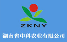 �п��r(n��ng)�I(y��)