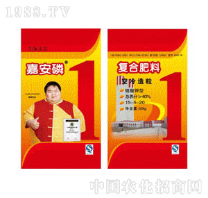 ������-����������͏ͺϷ���