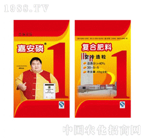 ������-�����ͺϷ���40��