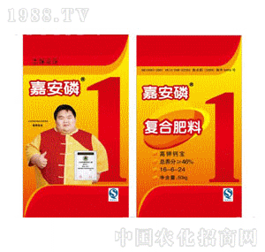 ������-����}���ͺϷ���