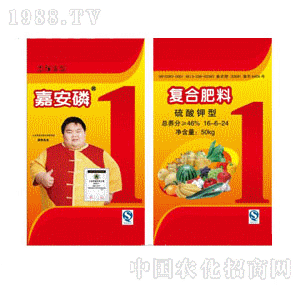 ������-������͏ͺϷ���