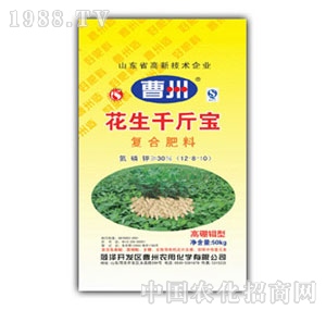 �����r(n��ng)��-����ǧ���(f��)�Ϸ�