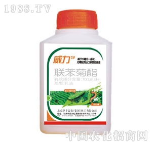 �A�S���r-����1̖(li��n)������