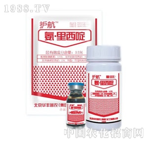 �A�S���r-�o���������