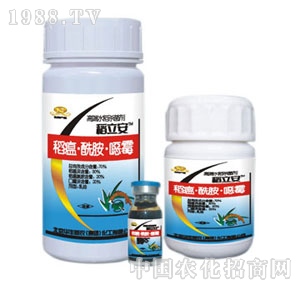 �A�S���r-������