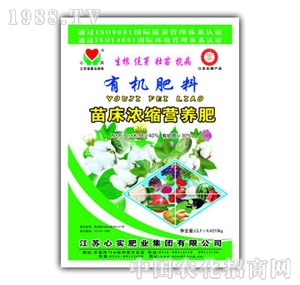 �Č�(sh��)-�洲��s�I(y��ng)�B(y��ng)��