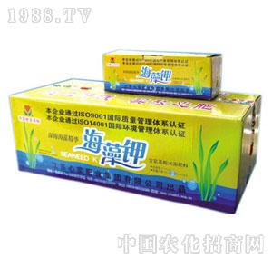 �Č�(sh��)-�����