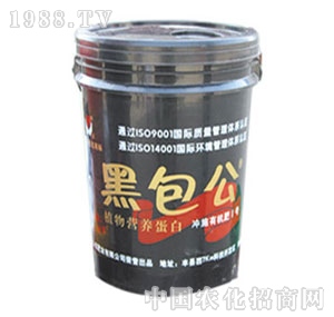 �Č�(sh��)-�ڰ���