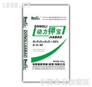 � �-��(d��ng)��⛌�