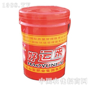 �Č�(sh��)-���\(y��n)��(l��i)