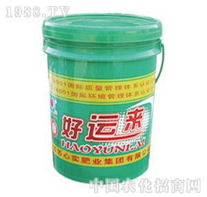 �Č�(sh��)-���\(y��n)��(l��i)2̖(h��o)