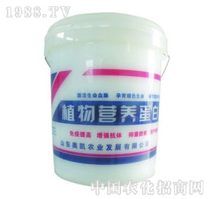 �W�P-ֲ��I(y��ng)�B(y��ng)����